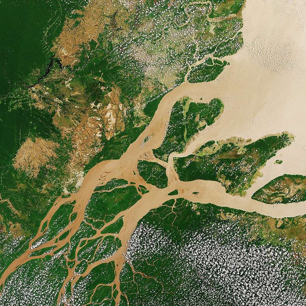 Imagem de satélite da Foz do Rio Amazonas. Disponível em: https://commons.wikimedia.org/wiki/File:Amazon_River_ESA387332.jpg