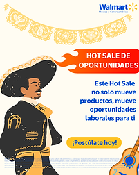 Hot Sale - Pacífico .png