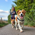 Walking 2 dogs.jpg