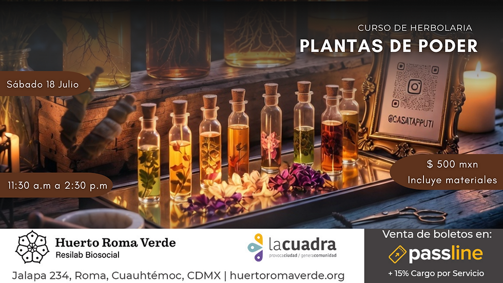 Taller de Plantas de Poder