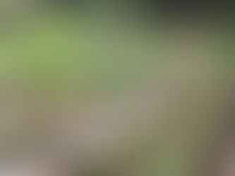 Jardinería y Cambio Climático