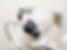 Swiss Eye Care Optometrist in Carrollton, TX 75007 - eye care, eye doctor, optician, optometrist, opticians, vision center, eye doctor near me, optometrist near me, eye exam near me, eye specialist near me, optician near me, eye care center, family vision, family eye care, eye checkup, eye exam, eyeglass stores, eyewear, eyewear adjustments, sunglass store, sports vision, computer vision, contact lens store near me, dallas optometrist, dallas opticians, carrollton optometrist