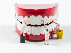 Tartar vs. Plaque: Know the Difference! With Mckinney, Texas General and Family Dentist