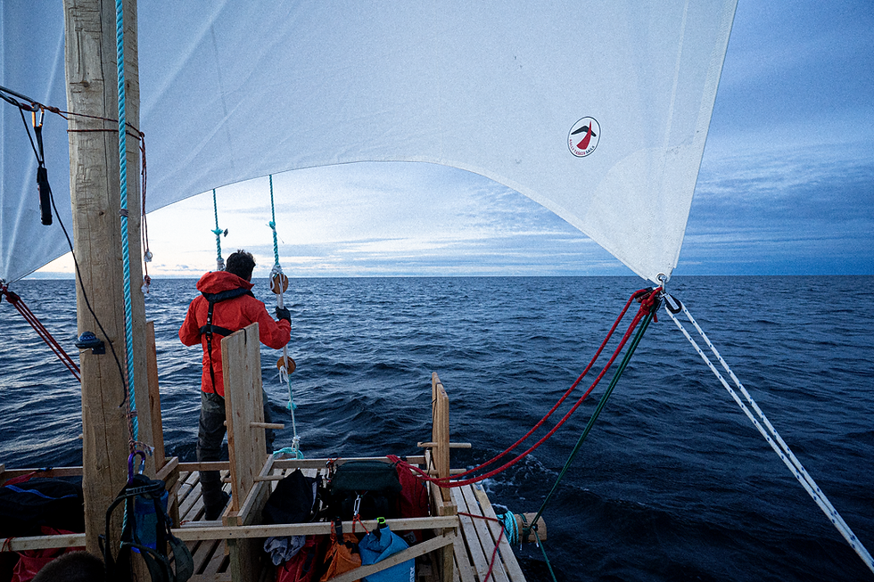 The Mystery of Guaras and the Leeway-25 Mission