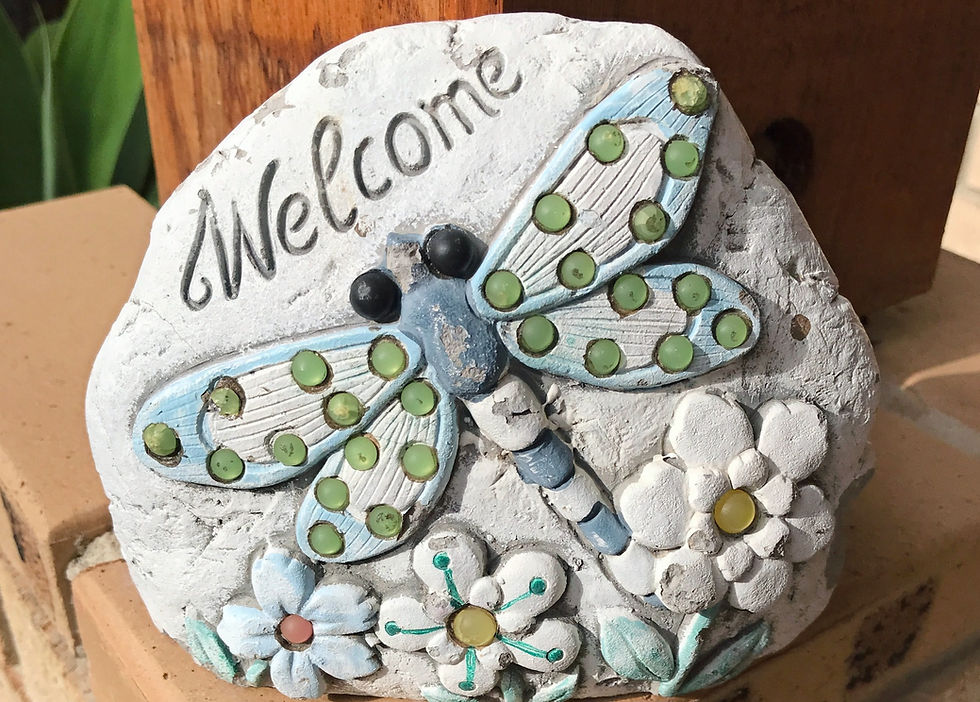 Roma, Queensland: not only bottle trees!