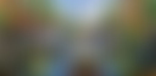 Five things about our Bull-driven Groundnut Oil