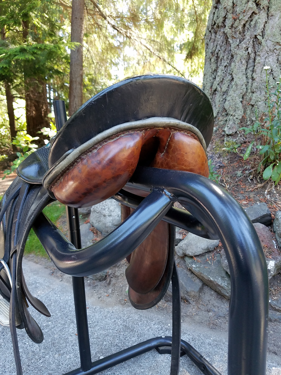Thumbnail: Stubben Roxanne Dressage Saddle