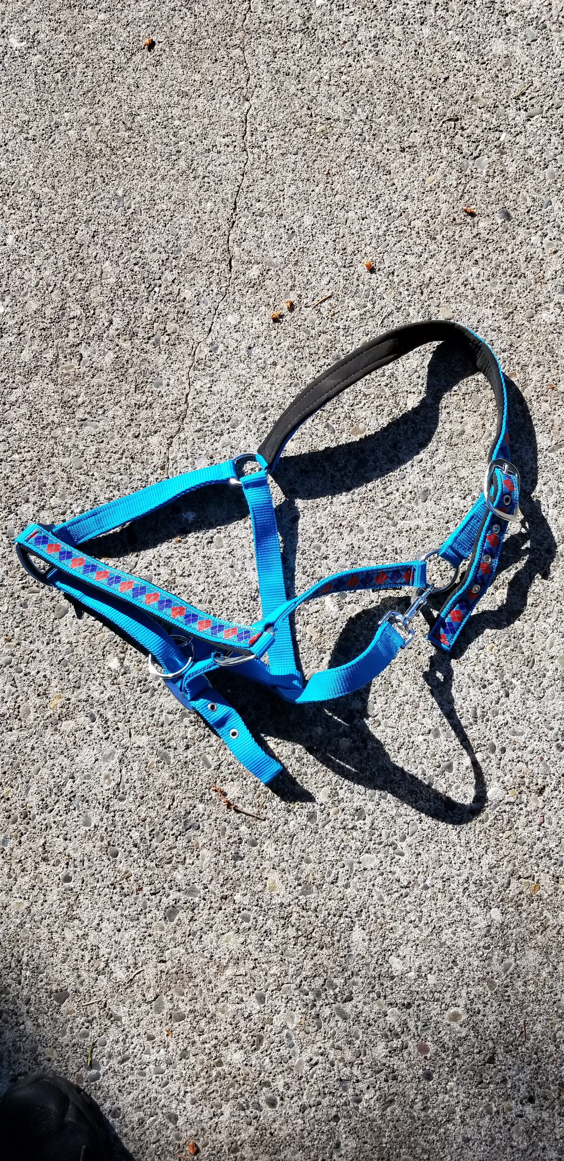 Padded Nylon Halter