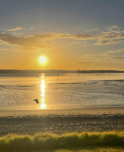 panmure sunrise darker-.jpg