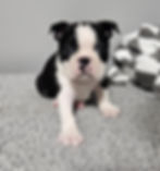 Female 1_ July 7th 2025 (1)