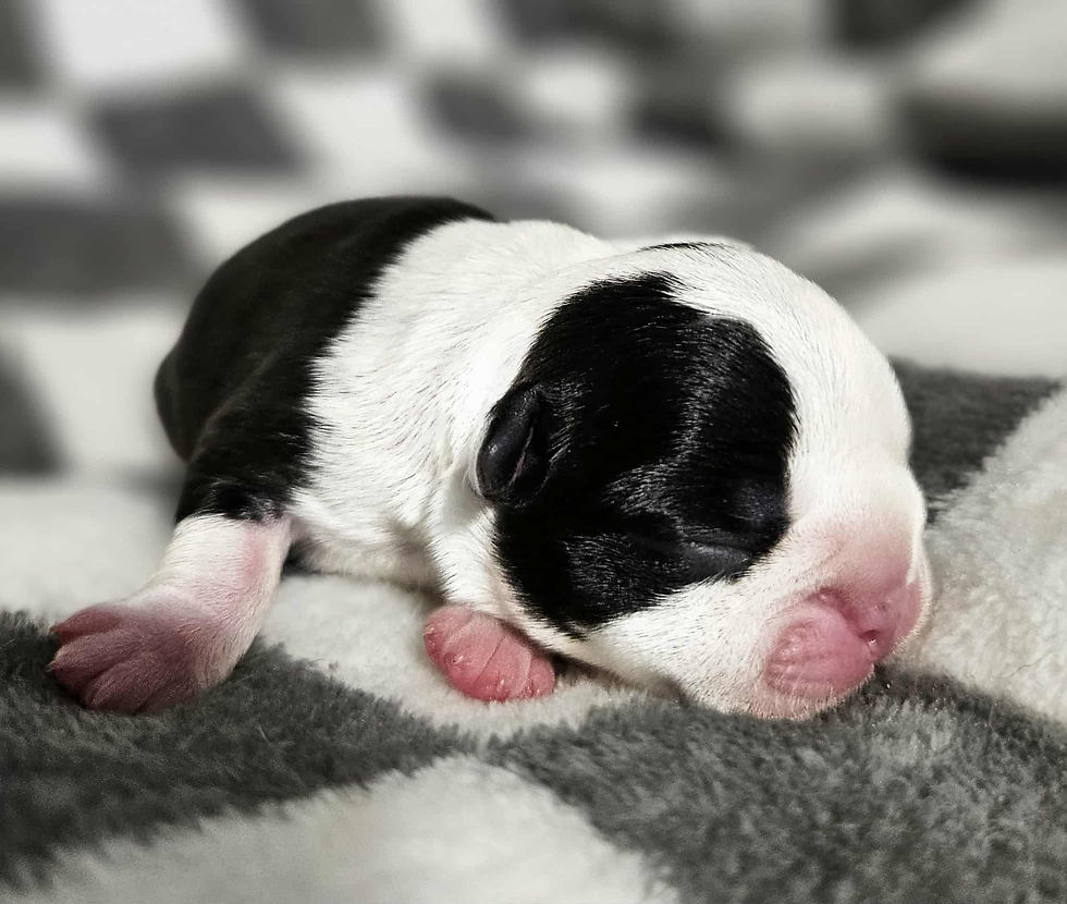 Female 2, Sept 8 (2)