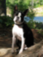 BELLA 2