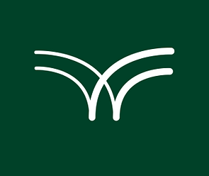 Private Skating Class Brisbane - Full customized.png