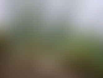 Scientists urge Africa to embrace geo-spatial tech to achieve development goals