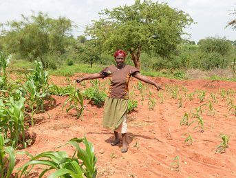 Africa Gains Momentum in Green Climate Solutions