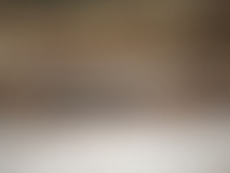 How Transgenic Species Could Help Fight the Effects of Climate Change