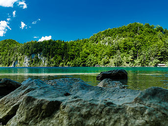 Losing the wilderness: a 10th has gone since 1992 – and gone for good