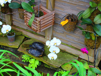 Agripreneurs are hunting for green gold on Johannesburg's rooftops