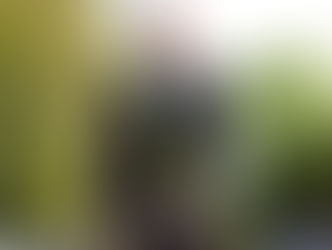 'We're doomed': Mayer Hillman on the climate reality no one else will dare mention