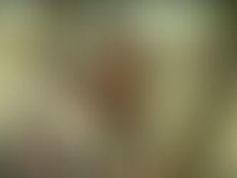 Kadvi Hawa movie review: The dark, haunting tale of climate change, farmer suicides