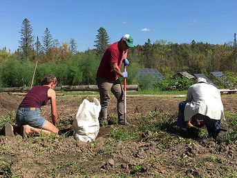 Soil carbon sequestration – when aspirations and reality collide