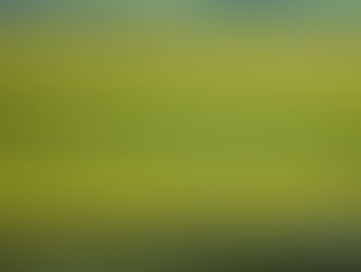 Minister calls for reviving forgotten crops