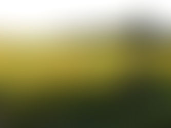 Climate Change Already Impacting Wheat, Rice, Corn, Soybean Yields Worldwide