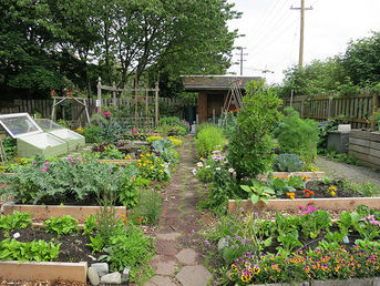Nature-based solutions offer local benefits through local action