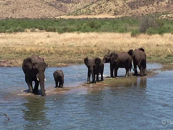 HOW READY IS AFRICA’S TOURISM INDUSTRY FOR THE IMPACT OF CLIMATE CHANGE