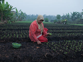 Women are Pivotal to Addressing Hunger, Malnutrition and Poverty