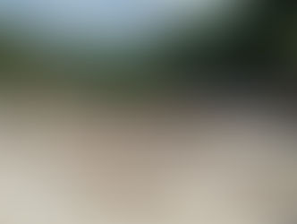 What Contributes to Community Resilience in the Face of Climate Change?