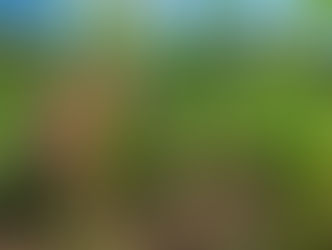 Securing Land Rights in Africa