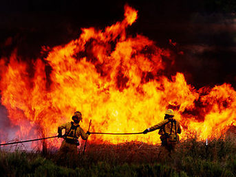 Stark Evidence: A Warmer World Is Sparking More and Bigger Wildfires