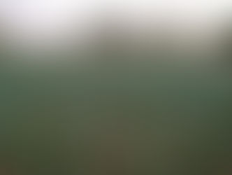 U.S. and Syria will soon be the only countries not in the Paris Agreement