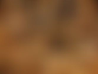 Kenya: Amid Drought and Conflict, Women Try New Livestock - Bees