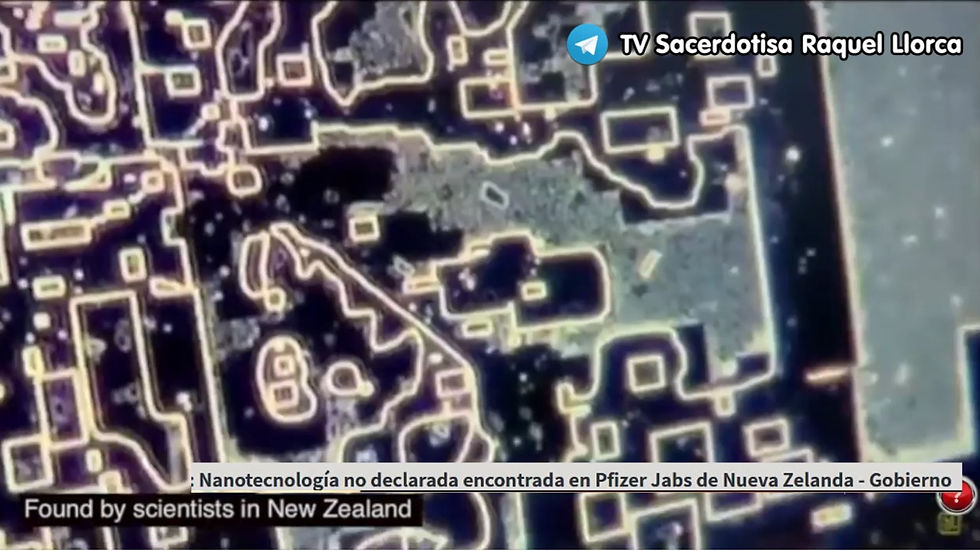 nanoPziferNuevaZelanda1