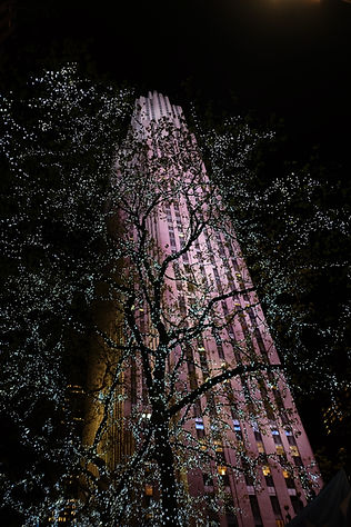 Web Refresh 2021-1090.jpg