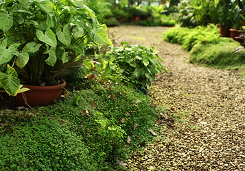 Botanical Garden