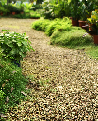 Botanical Garden
