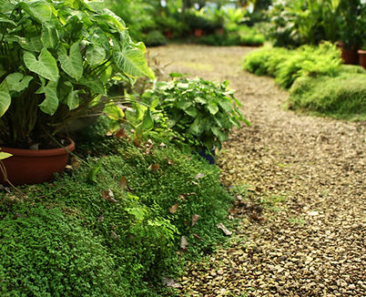 Botanical Garden