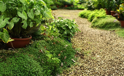 Botanical Garden