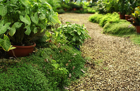 Botanical Garden