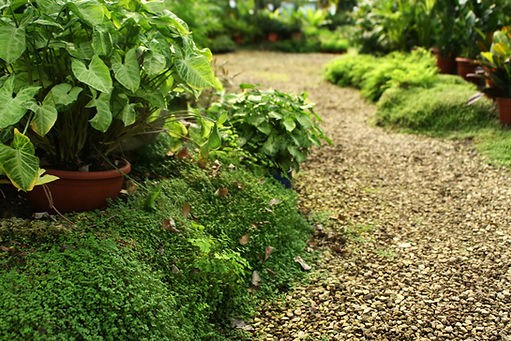 Botanical Garden