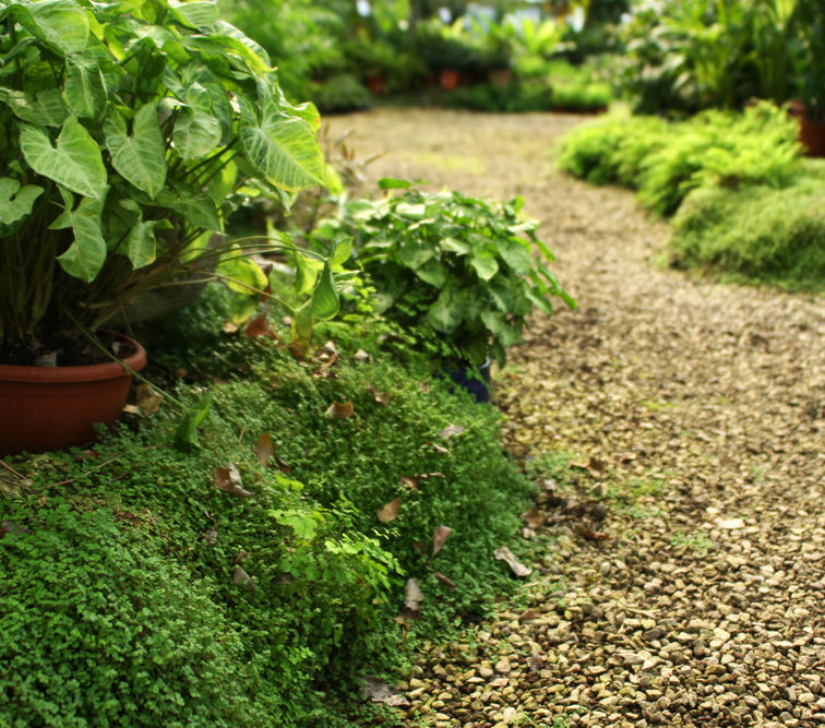 Botanical Garden