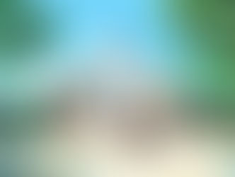 Koe no Katachi triunfa en los Premios de la Crítica Cinematográfica de Japón