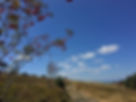 IMG-2923.JPG