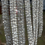 Miniatura: Studio L Flashy Fan ( Full Bling)