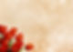 tulips-3658478_1920.jpg