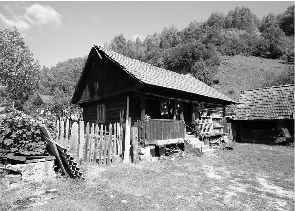 e2.jpg