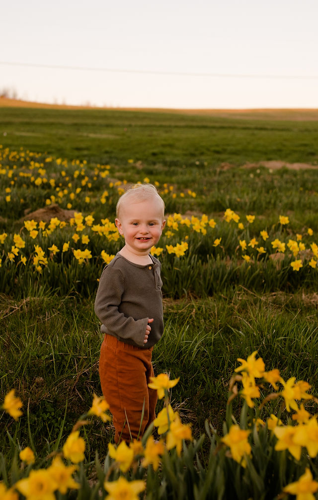 Daffodil Festival | Evelyns Farm